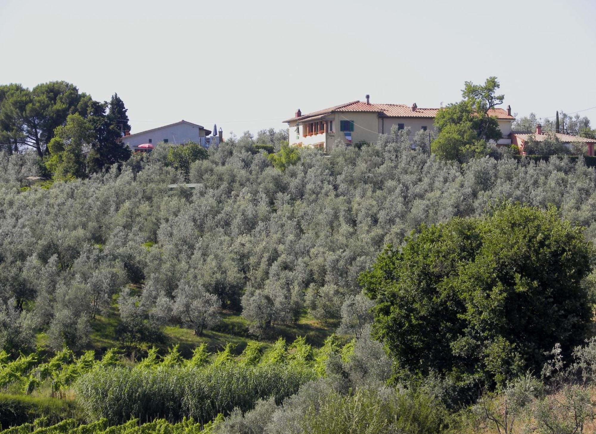 Agriturismo Podere Zollaio Vinci Chambre photo